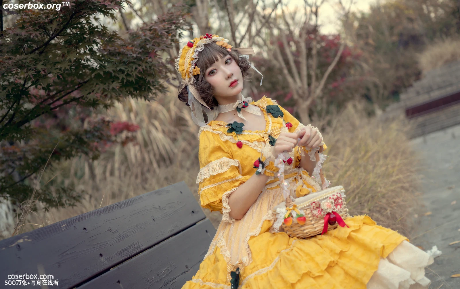 阿包也是兔娘 NO.007 lolita黄裙 - 在线看可下载原图