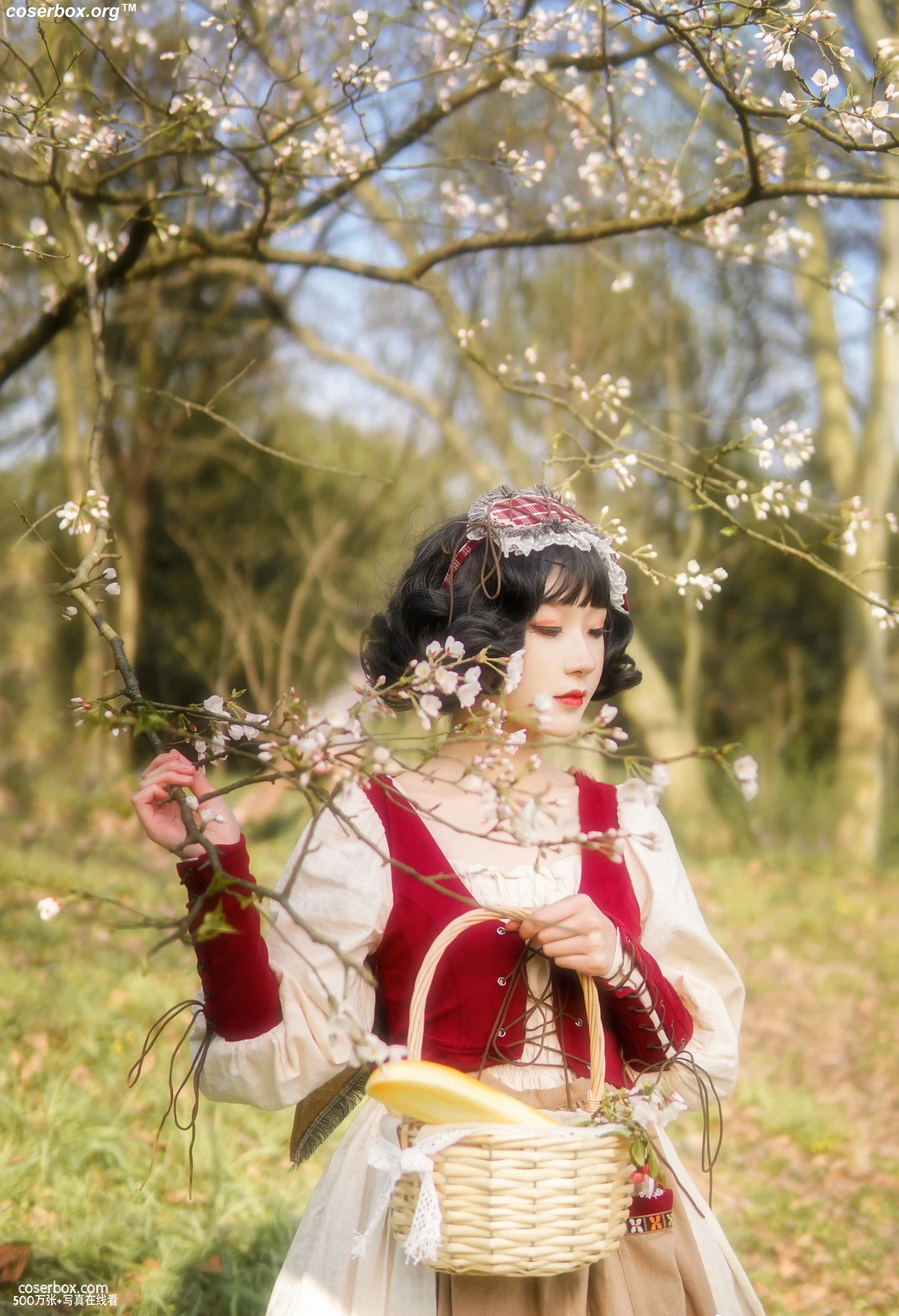 阿包也是兔娘 NO.012 lolita红裙 - 在线看可下载原图