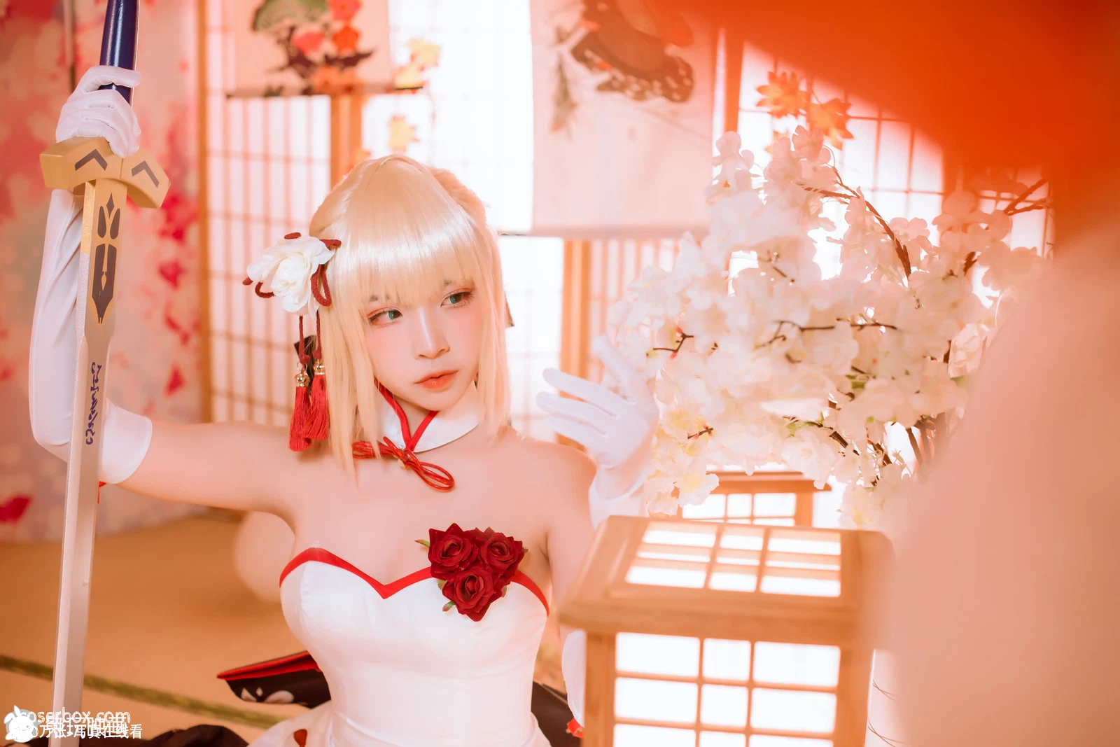 二佐Nisa NO.48 Fate Saber - 在线看可下载原图