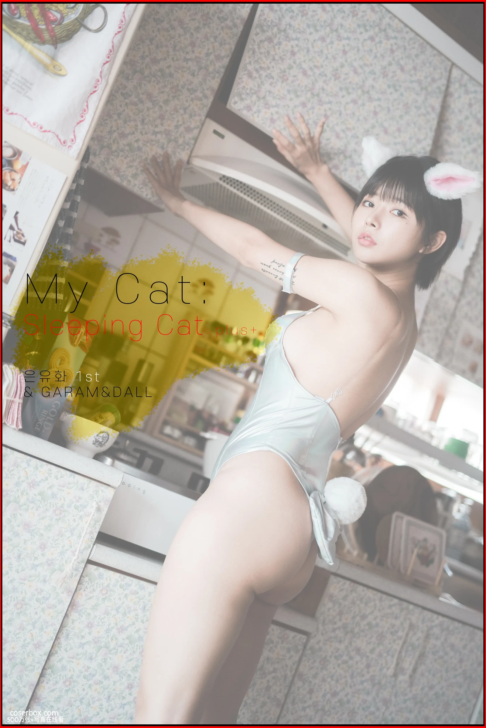 PINK RIBBON NO.002 Uuuha (은유화) My Cat 我的猫 - 在线看可下载原图