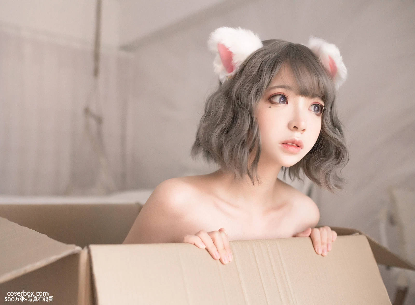 疯猫SS NO.027 白猫 - 在线看可下载原图