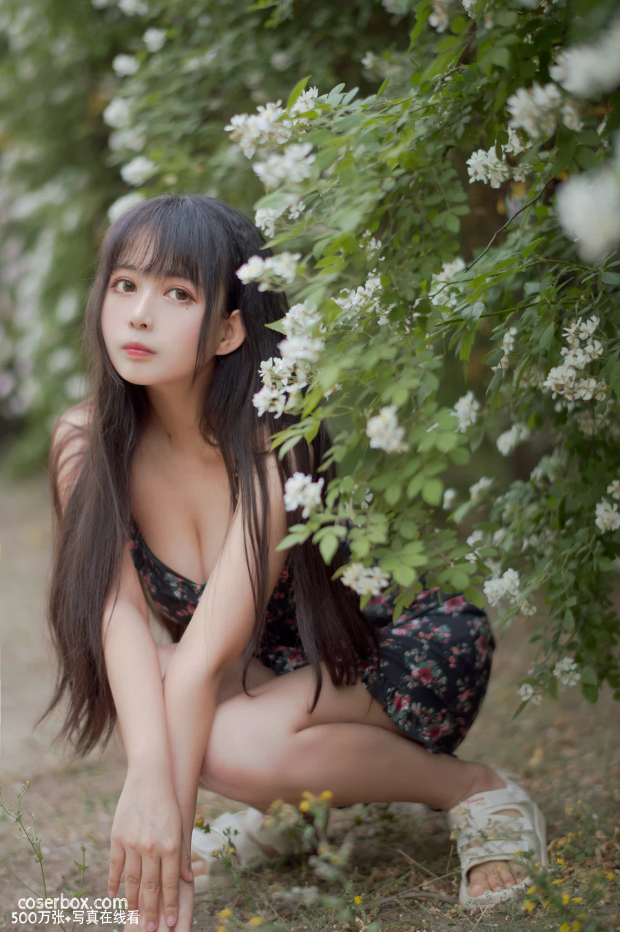 黑猫猫OvO NO.022 蔷薇1 - 在线看可下载原图