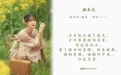 [YITUYU艺图语] 2022.04.27 NO.1117 油菜花 一一 [25P-413MB] - 在线看可下载原图