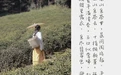 [YITUYU艺图语] 2022.05.07 NO.1204 采茶女 之楠楠楠 [21P-329MB] - 在线看可下载原图