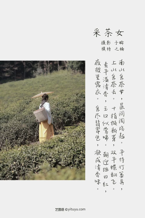 [YITUYU艺图语] 2022.05.07 NO.1204 采茶女 之楠楠楠 [21P-329MB] - 在线看可下载原图