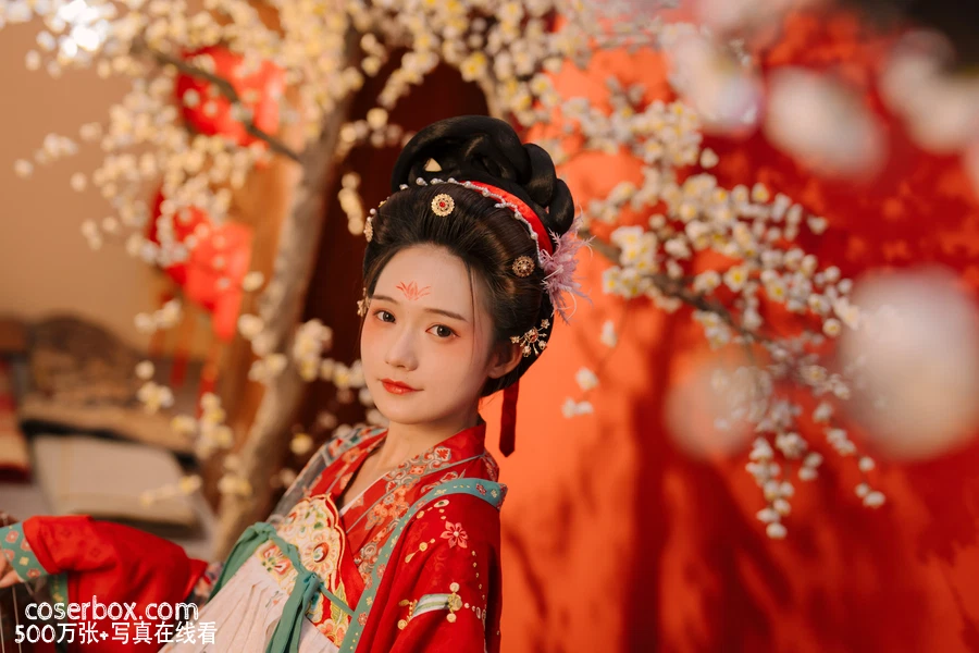 兔子Zzz不吃胡萝卜 NO.042 不负梦华 - 在线看可下载原图