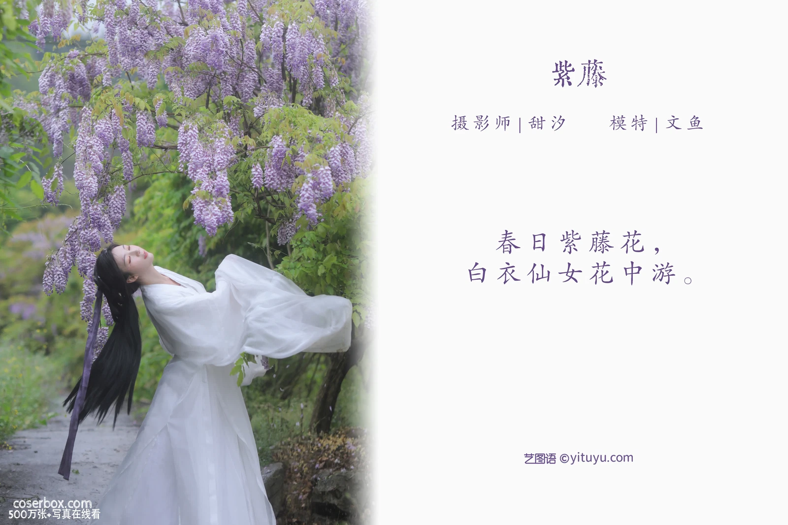 [YITUYU艺图语] 2022.04.24 NO.1093 紫藤 文鱼 [24P-403MB] - 在线看可下载原图