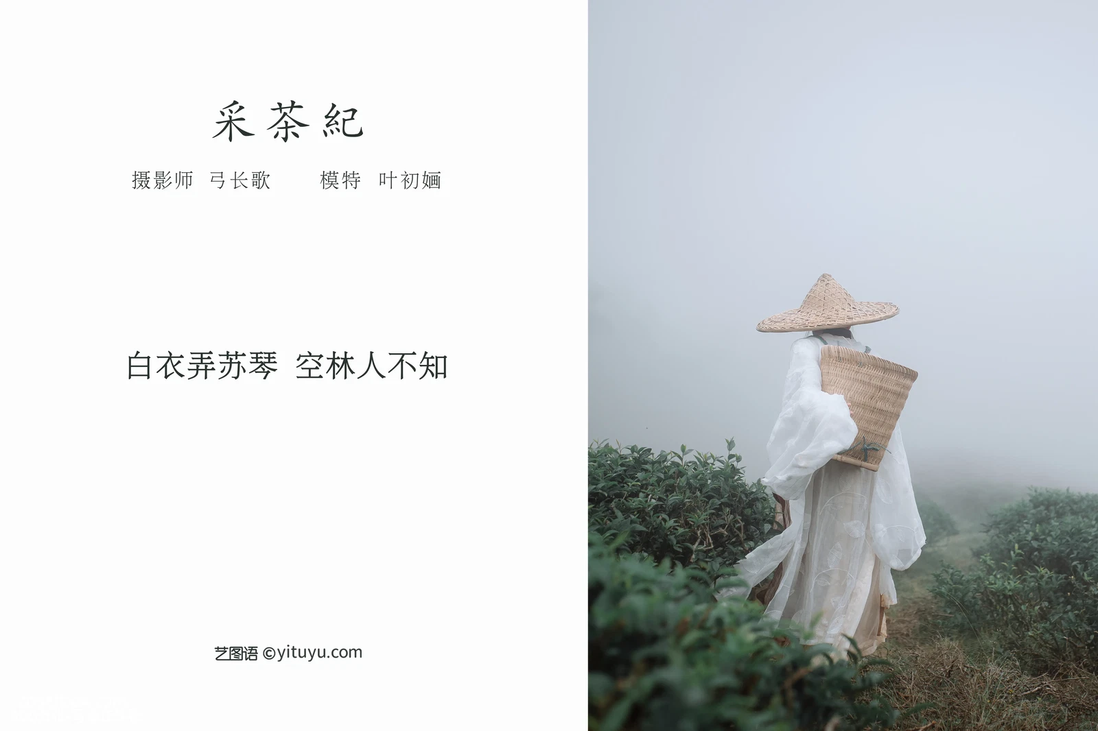 [YITUYU艺图语] 2022.04.12 NO.1010 采茶纪 叶初婳 [22P-236MB] - 在线看可下载原图