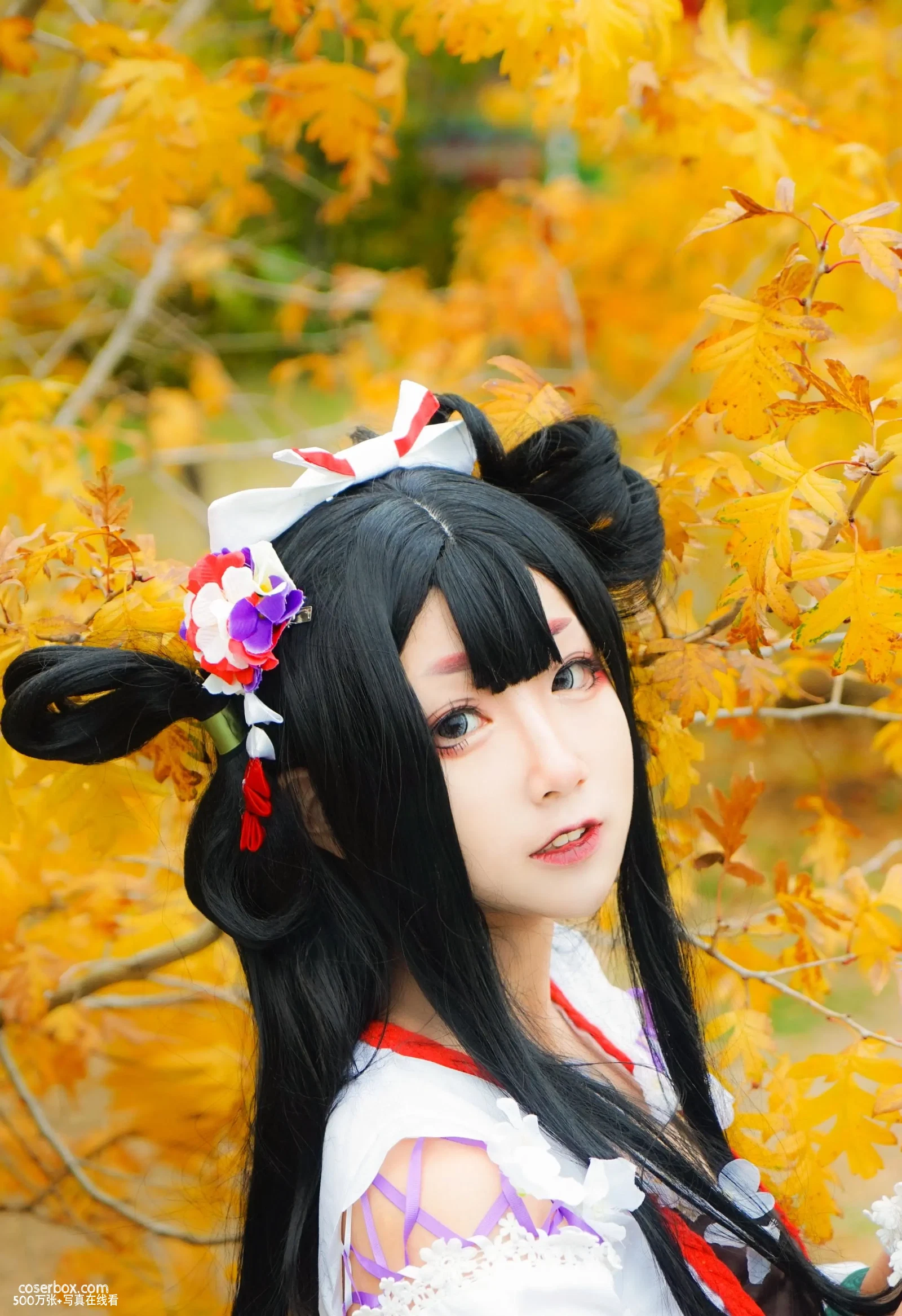 茕欢 NO.006 阴阳师手游COS花鸟卷 COSER四连拍挑战 [4P 2.72MB] - 在线看可下载原图