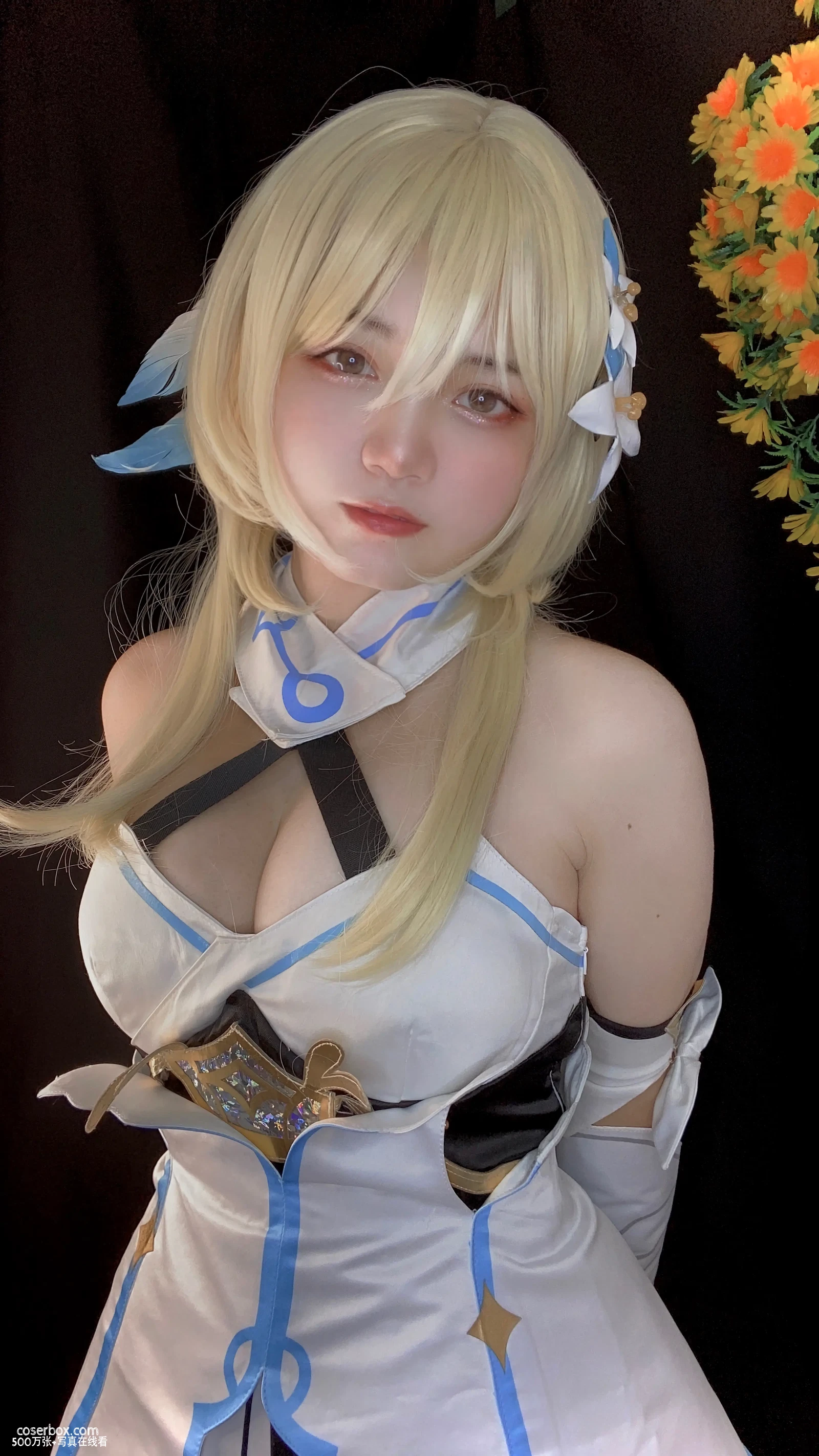 MenruiNyanko NO.005 Lumine [21P 338.18MB] - 在线看可下载原图