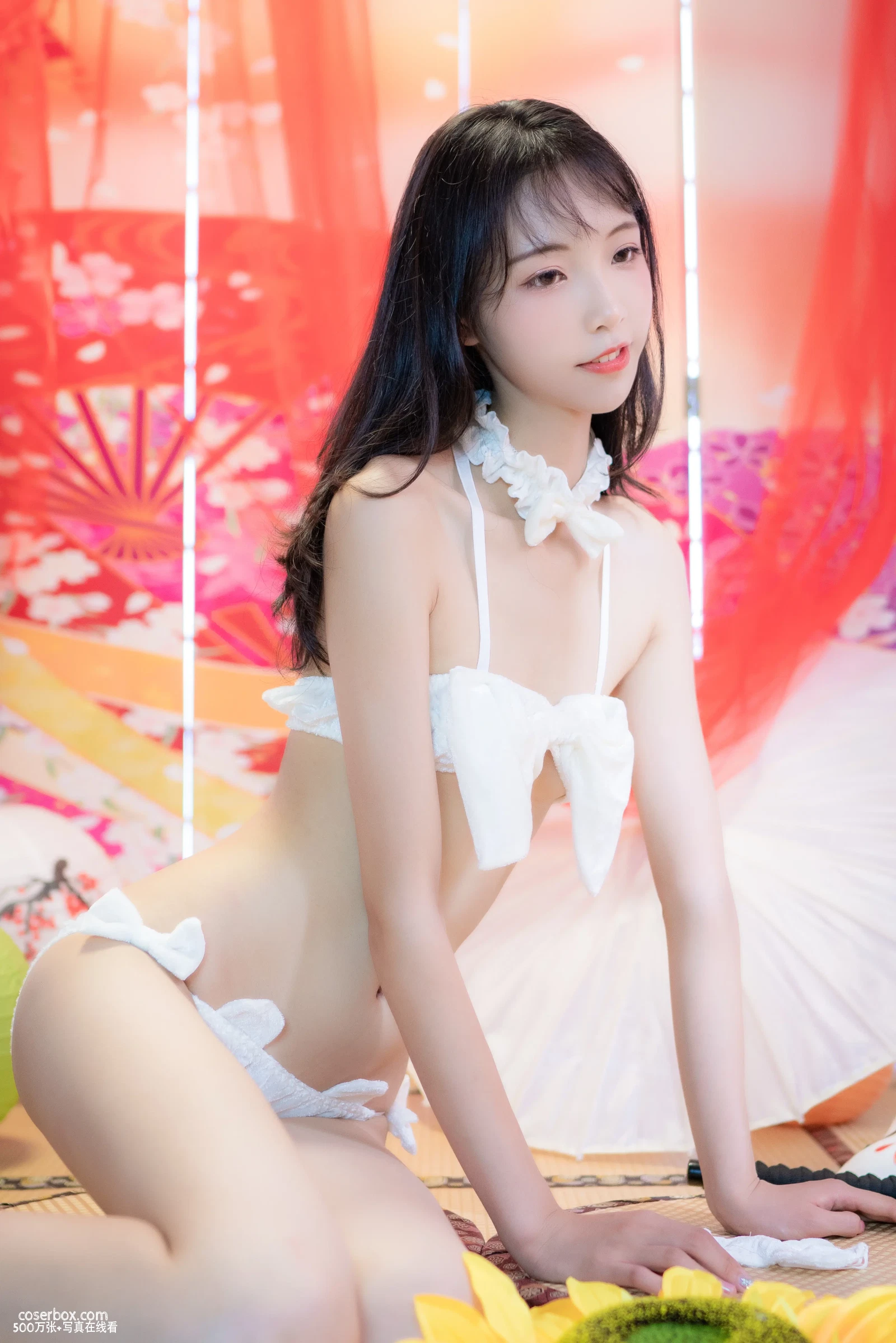 西瓜少女 NO.015日系棚拍白猫咪内衣 - 在线看可下载原图