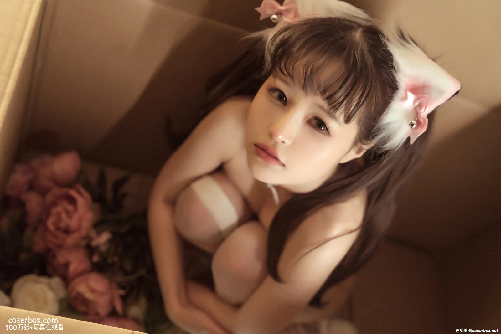 晕崽 NO.027 箱娘 [52P 468 - 在线看可下载原图