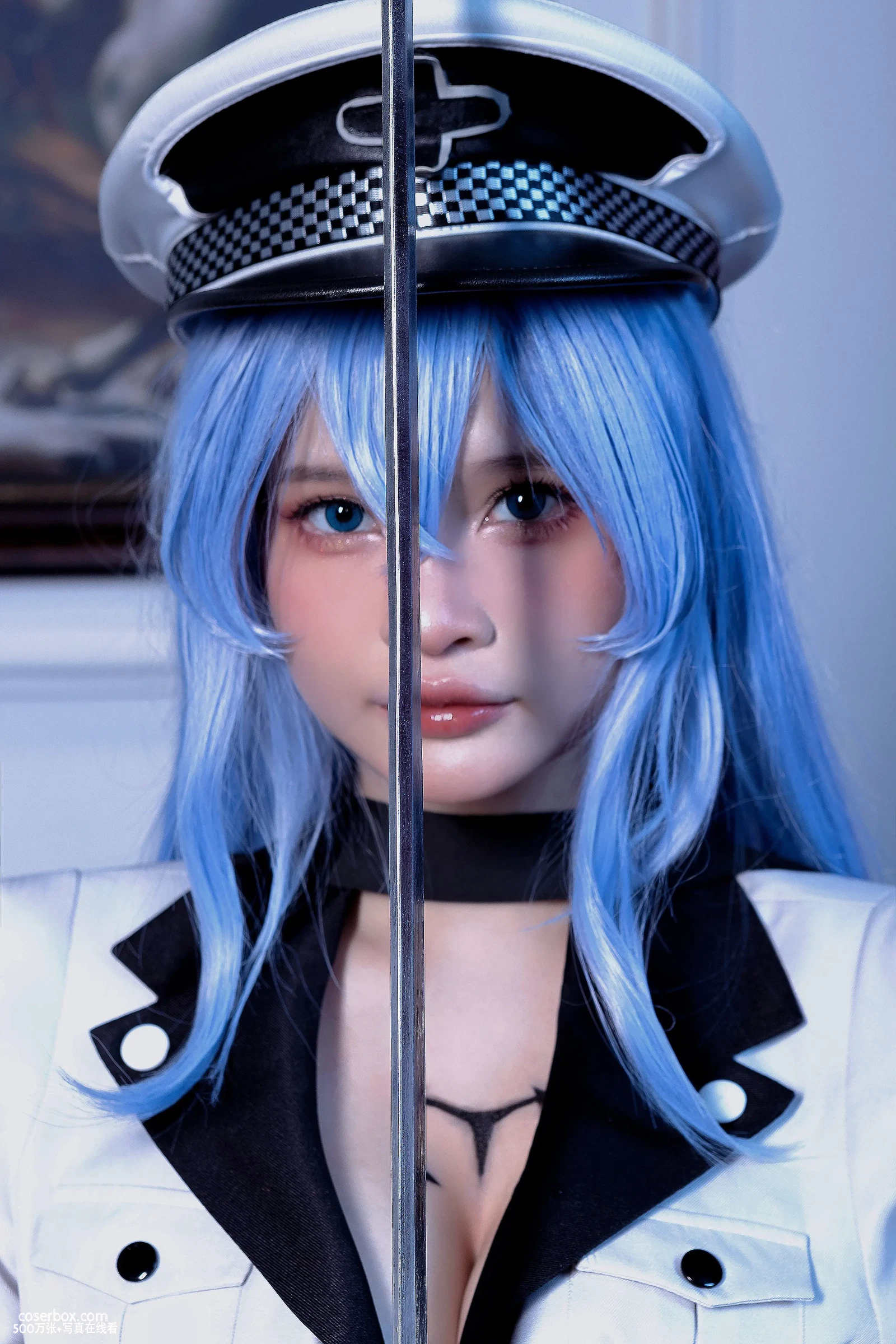 Azami NO.076 Esdeath [53P 348 - 在线看可下载原图