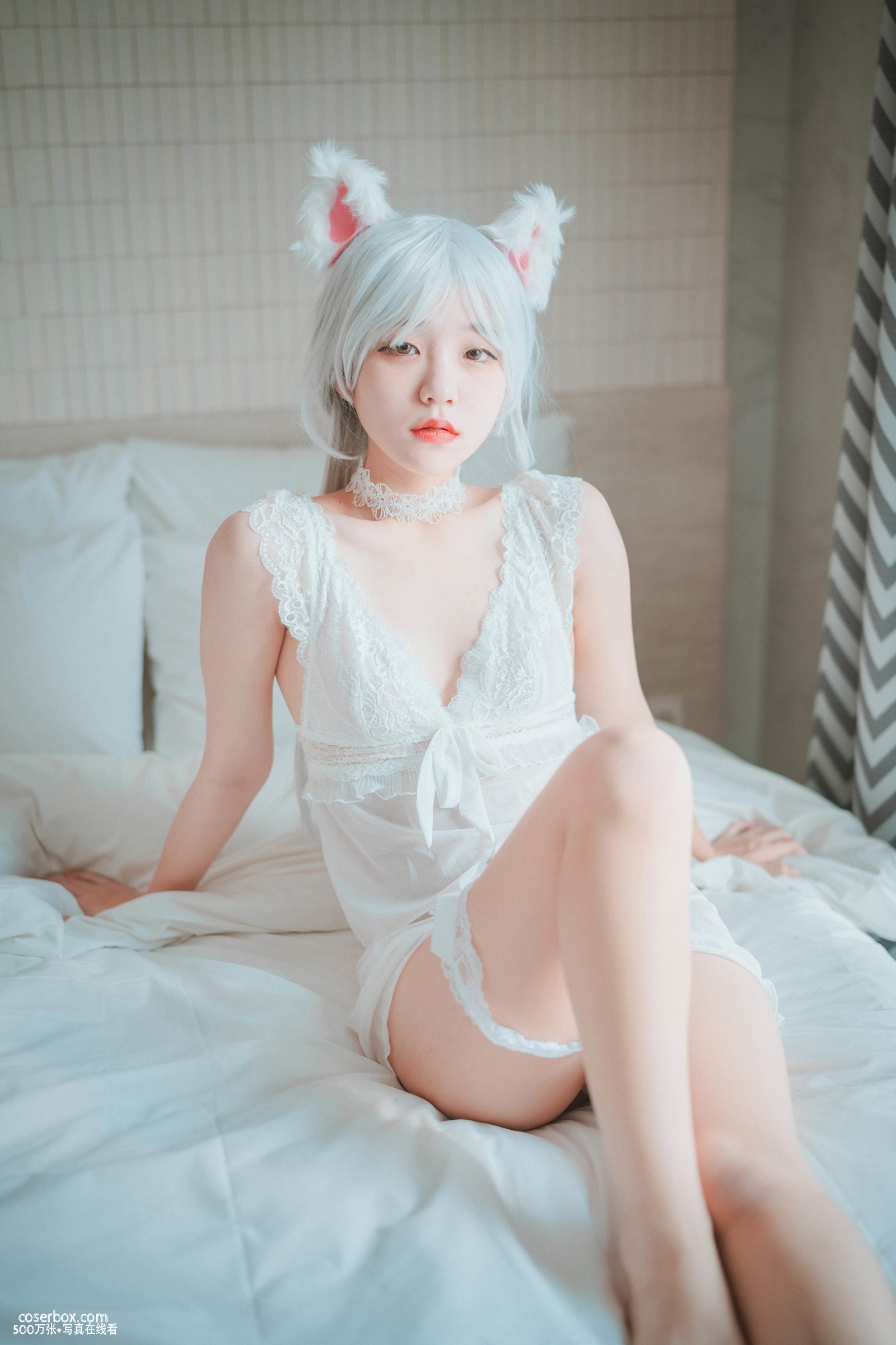 Jenny(정제니) NO.037 [DJAWA] Schwarz und Weiß Katzenmädchen [66P 462.57MB] - 在线看可下载原图