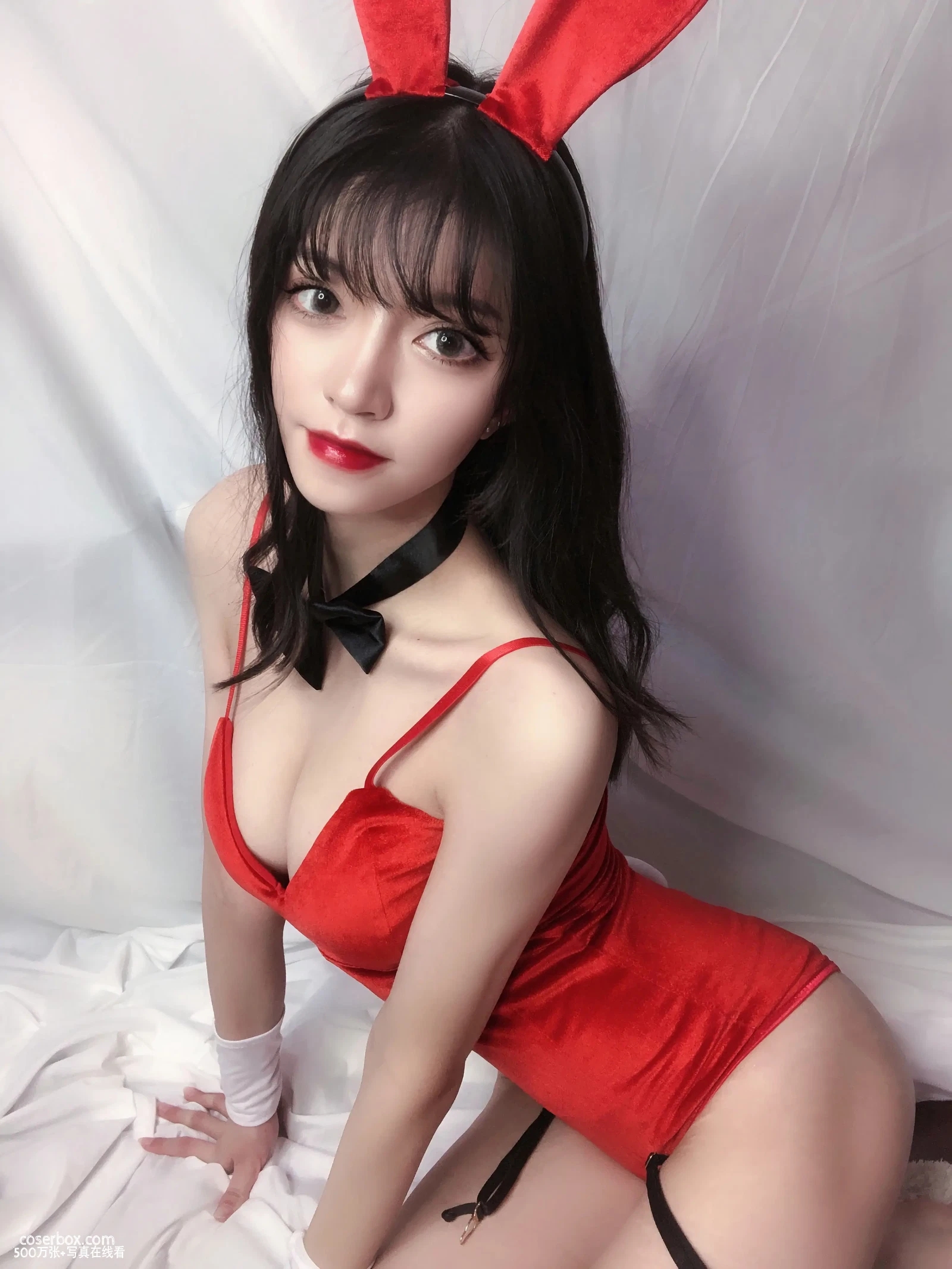 KETTOE NO.010 红丝绒兔女郎 [64P 261.12MB] - 在线看可下载原图