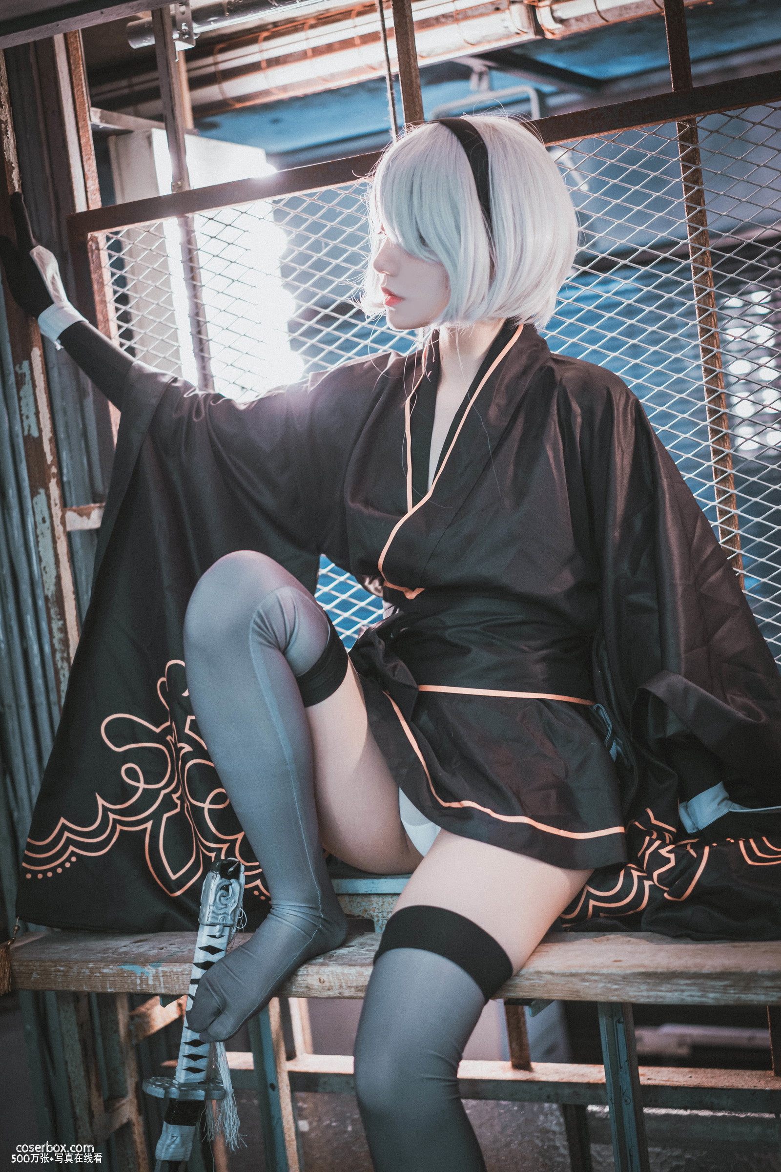 Jenny(정제니) NO.024 NieR Automata 2B [47P 426.2MB] - 在线看可下载原图