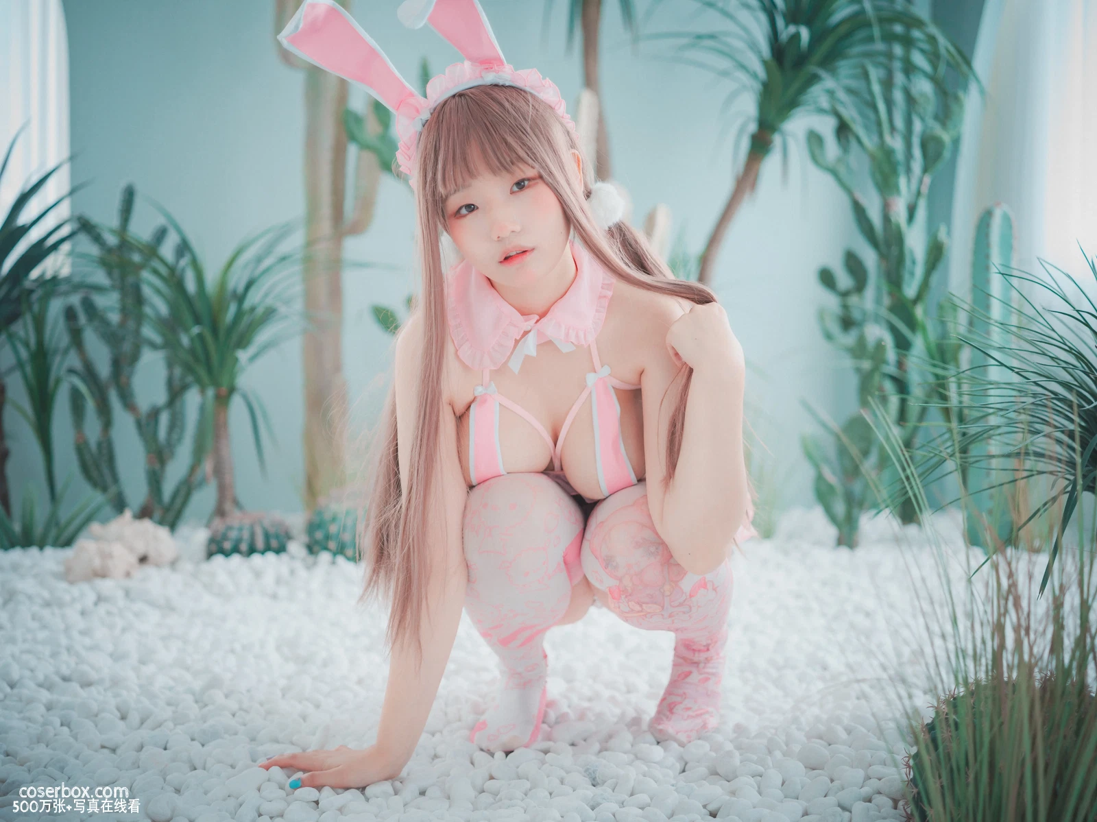 Mimmi NO.006 [DJAWA] March Hare [84P 1.64GB] - 在线看可下载原图