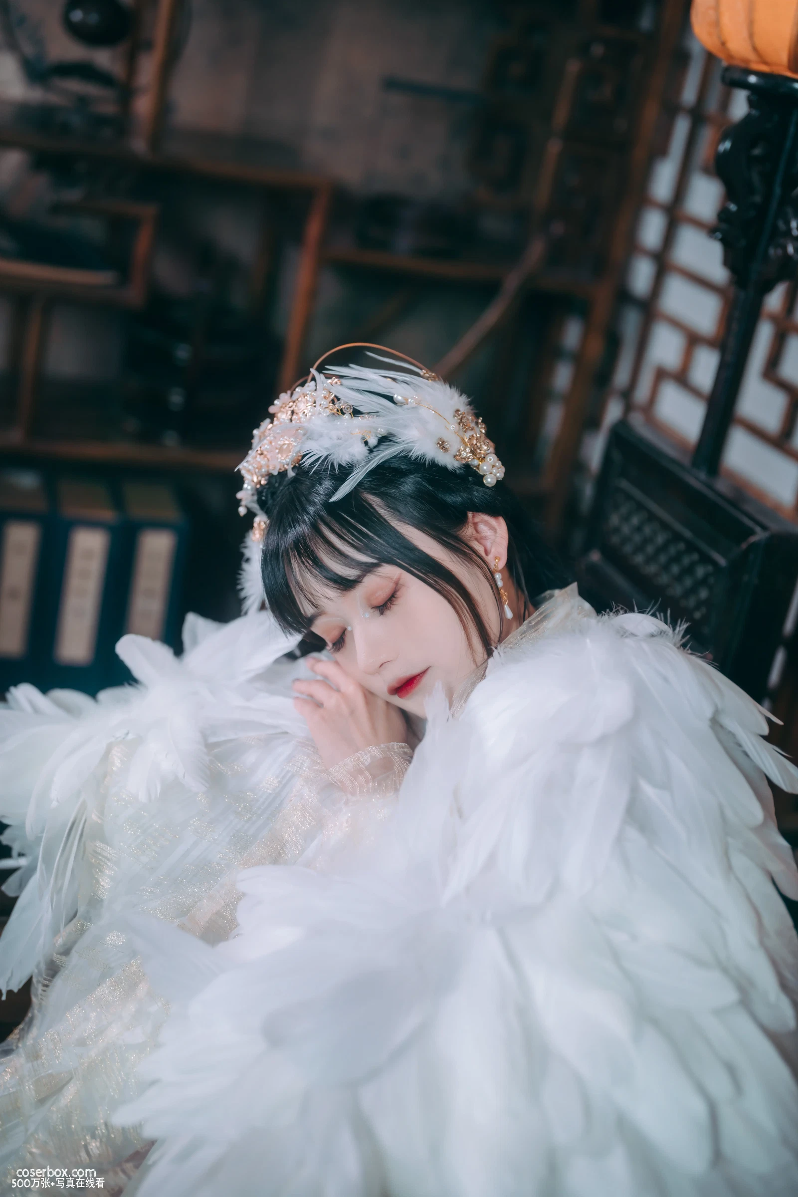 兔子Zzz不吃胡萝卜 NO.054 吉祥鸟 - 在线看可下载原图