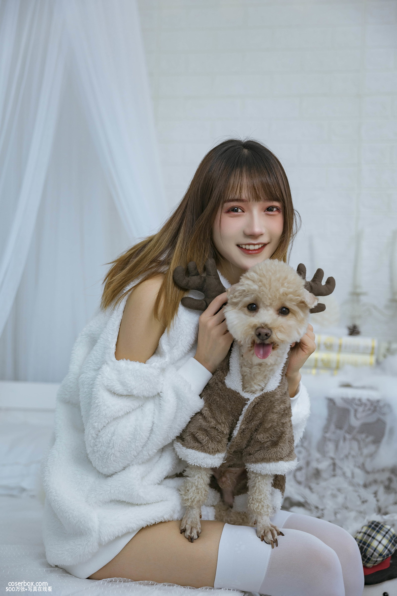 兔子Zzz不吃胡萝卜 NO.056 温馨少女与宠物们  - 在线看可下载原图