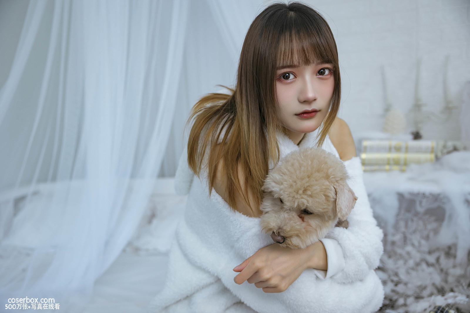 兔子Zzz不吃胡萝卜 NO.056 温馨少女与宠物们  - 在线看可下载原图