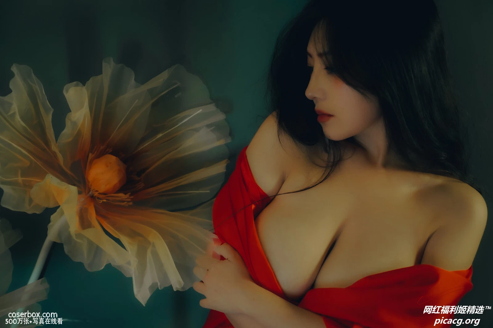 樱晚gigi NO.045 春.染 [50P 169.7MB] - 在线看可下载原图