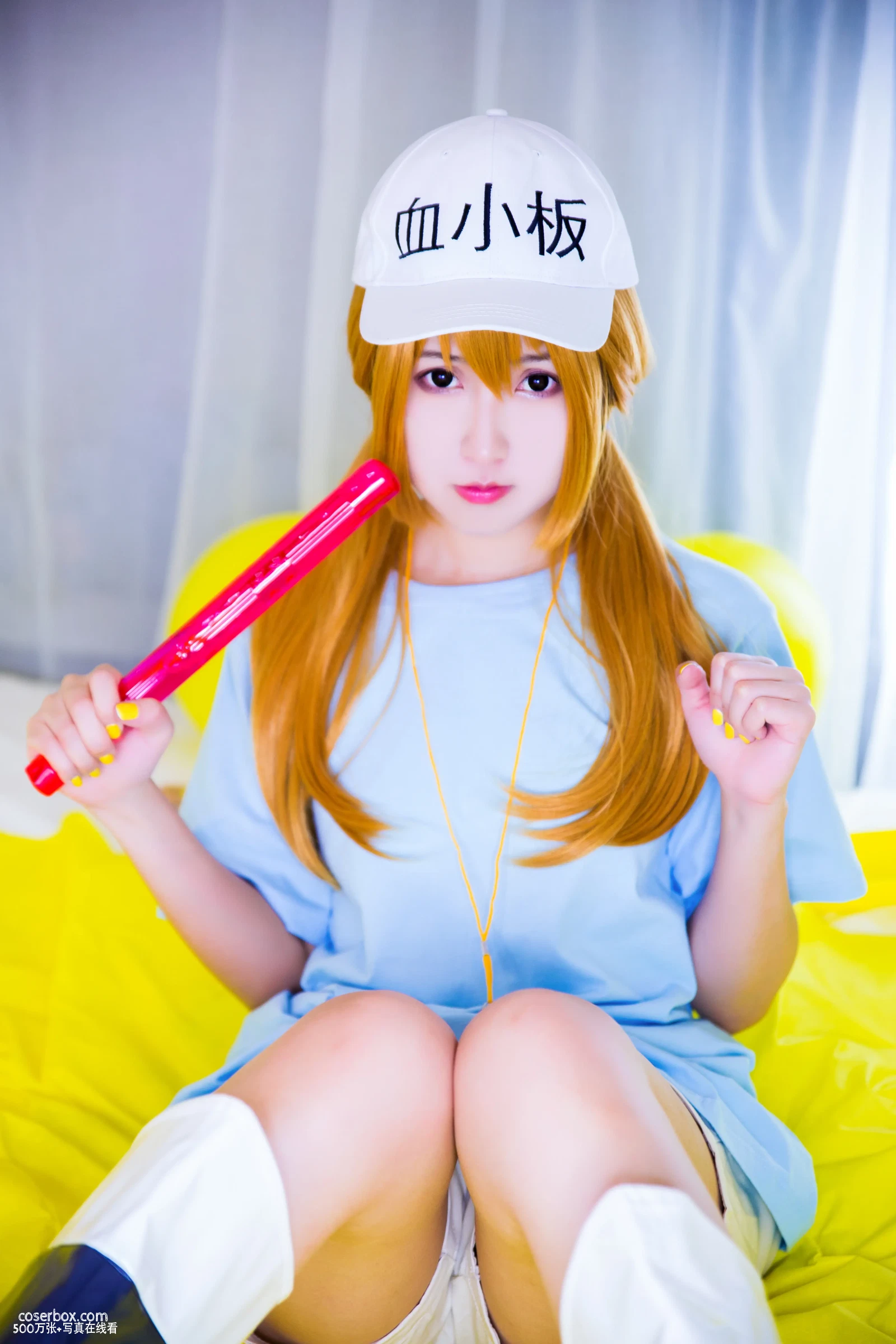 Miss WarmJ NO.006 Platelet-chan [66P 548.82MB] - 在线看可下载原图