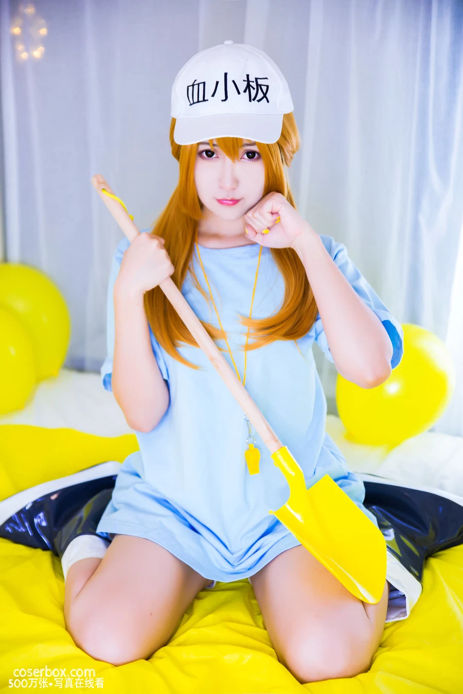 Miss WarmJ NO.006 Platelet-chan [66P 548.82MB] - 在线看可下载原图