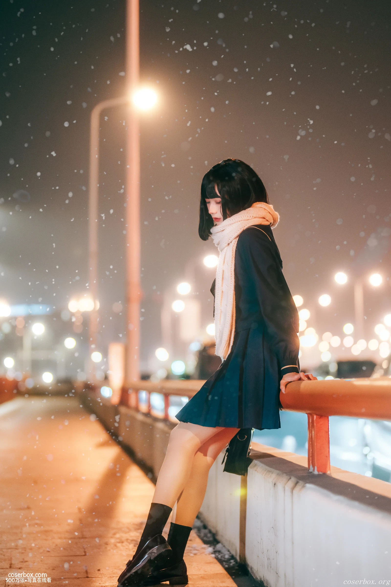 兔子Zzz不吃胡萝卜 NO.036 雪夜 [22P 492.3MB] - 在线看可下载原图