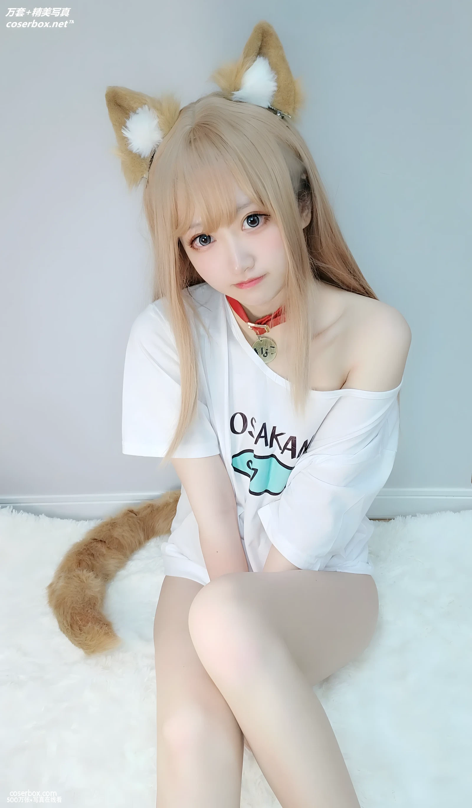 千阳(ちよ) NO.001 40原设猫猫 [14P 123.09MB] - 在线看可下载原图