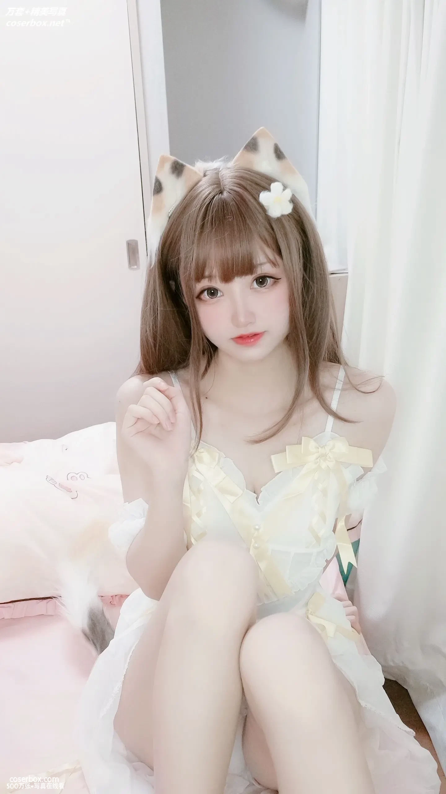 千阳(ちよ) NO.042 三花猫～ [12P 41.77MB] - 在线看可下载原图