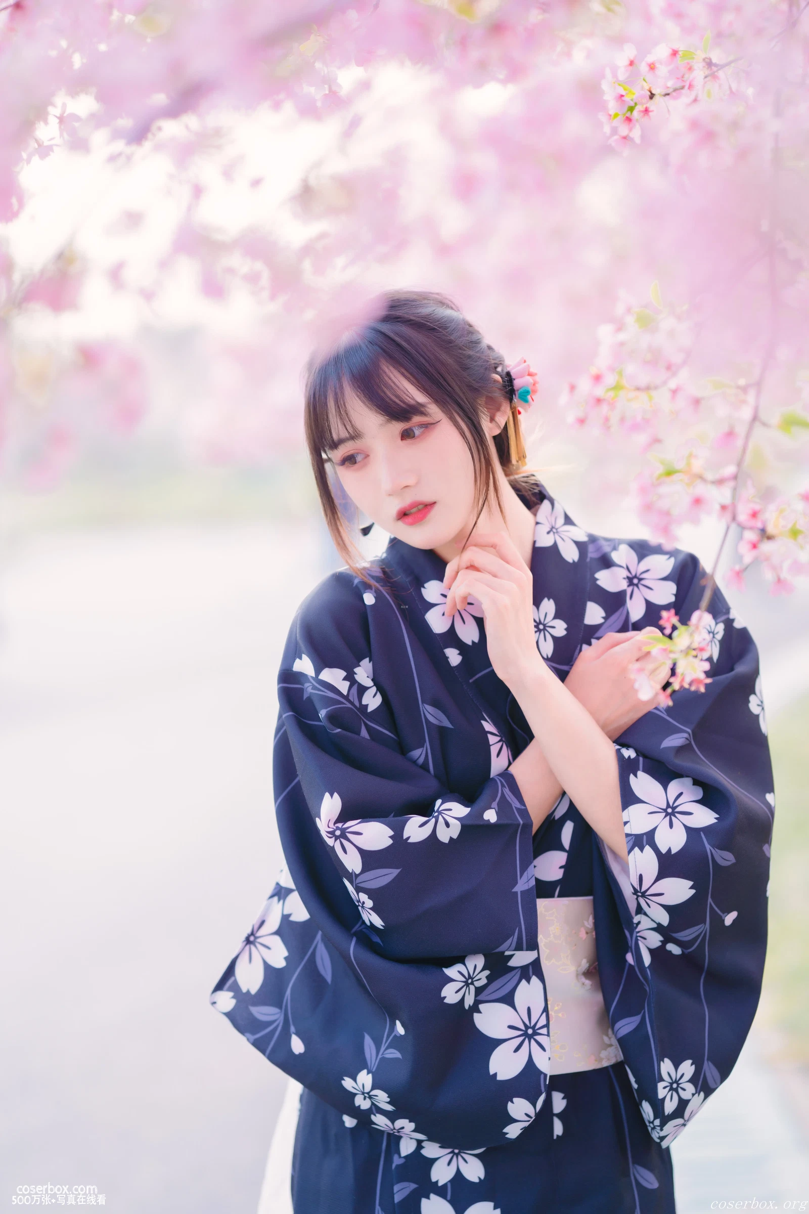 兔子Zzz不吃胡萝卜 NO.021 樱花烂漫时 [25P 425.95MB] - 在线看可下载原图