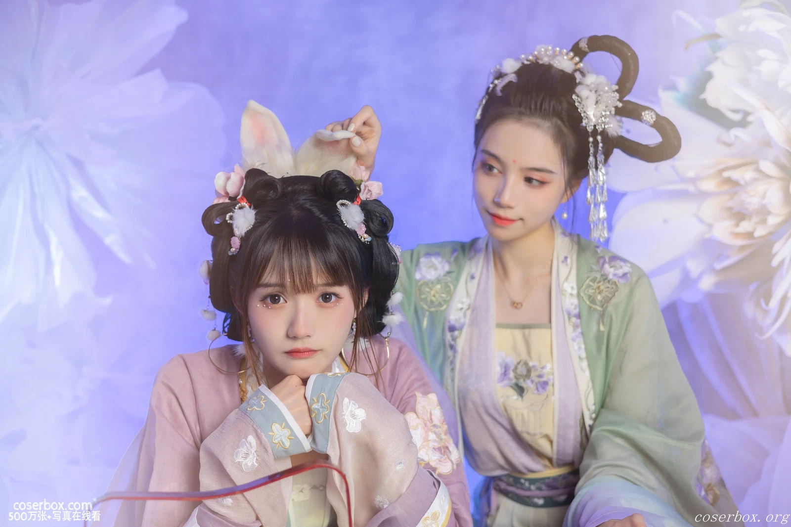 兔子Zzz不吃胡萝卜 NO.038 玉兔与嫦娥 [41P 396.56MB] - 在线看可下载原图