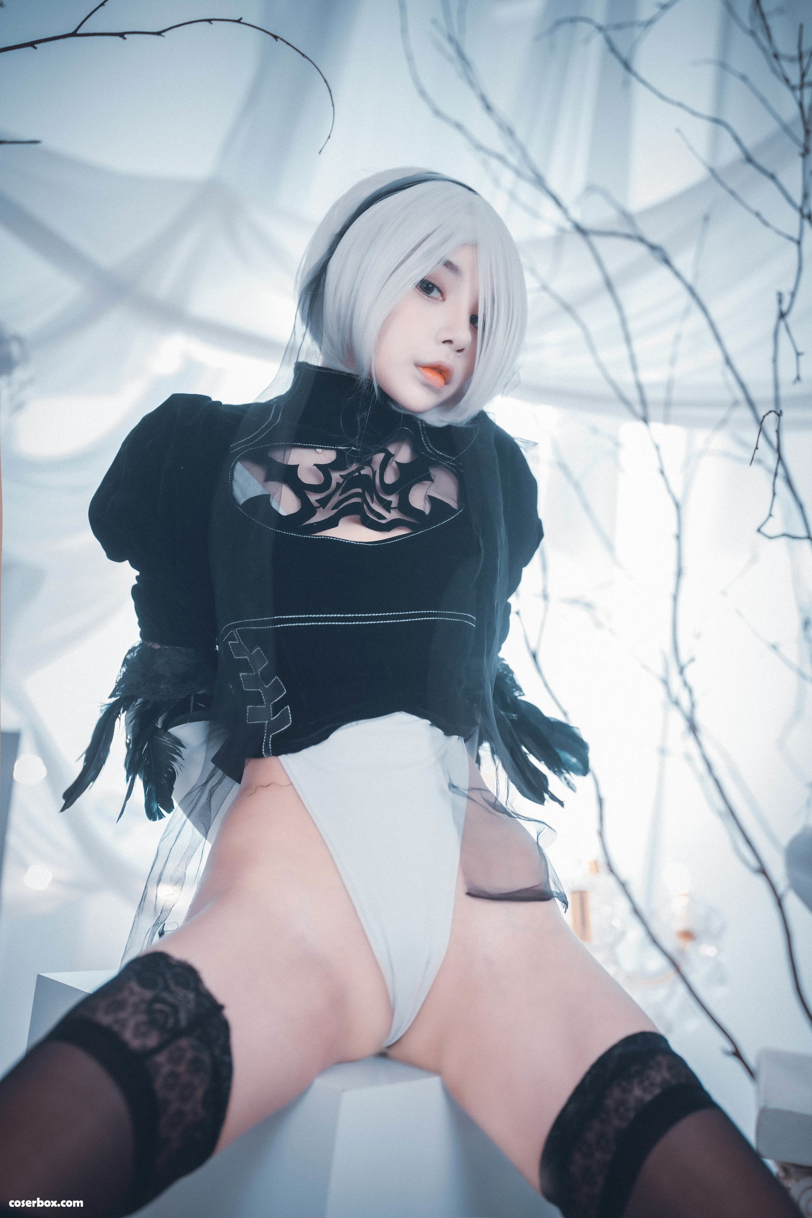 DJAWA NO.317 Zzyuri(쮸리)-Nier Automata 2B [134P 1.68GB] - 在线看可下载原图