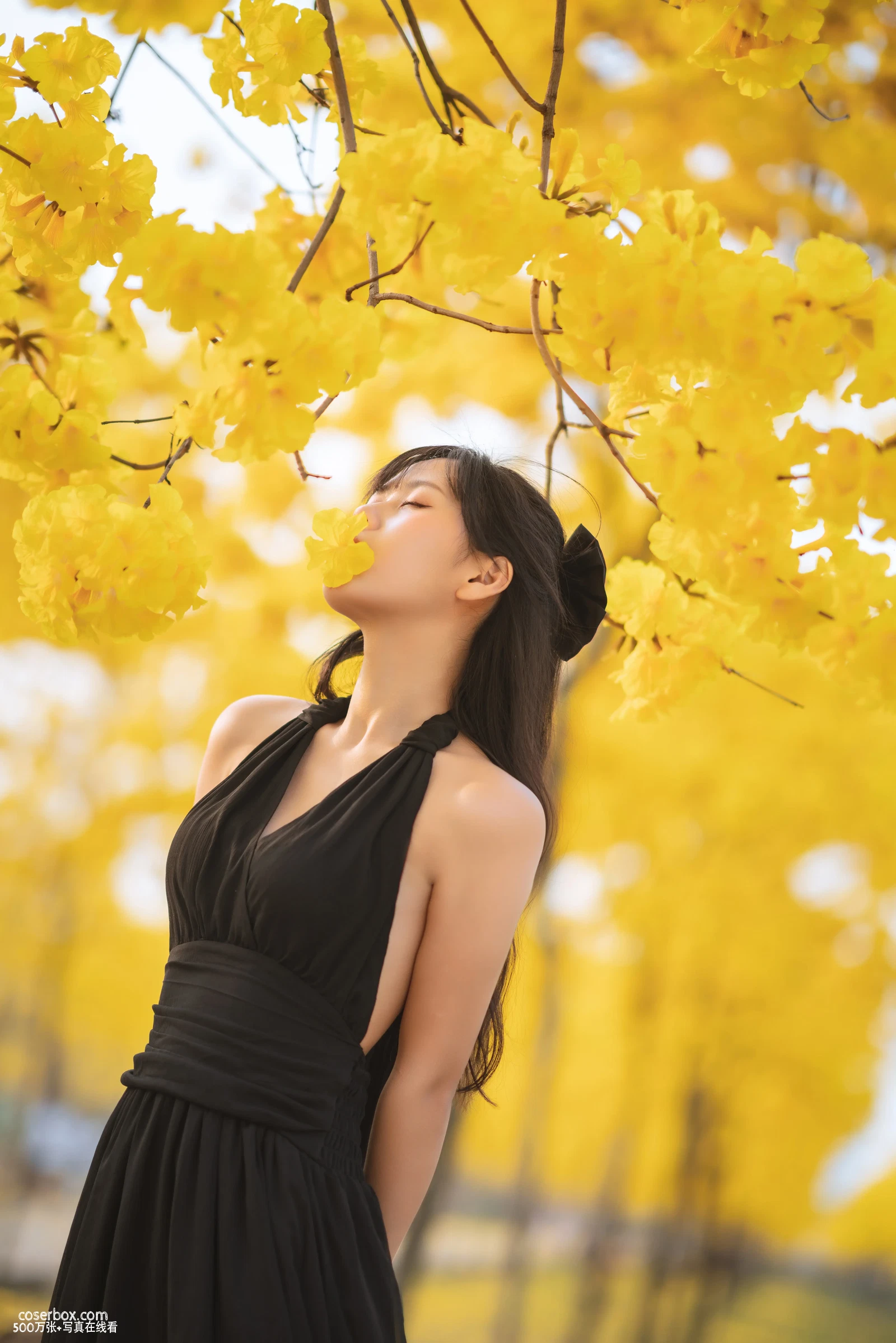 萌芽儿 NO.024 秋有银杏 春有黄风铃 - 在线看可下载原图