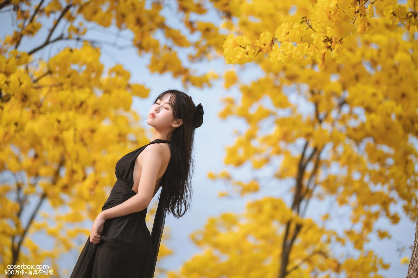 萌芽儿 NO.024 秋有银杏 春有黄风铃 - 在线看可下载原图