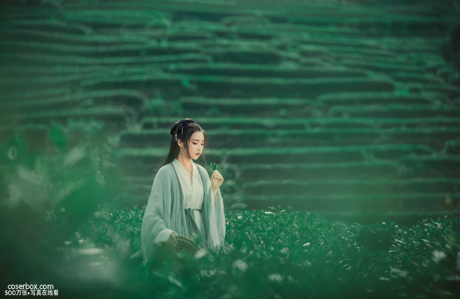 [YITUYU艺图语] 2022.05.26 NO.1381 茶山 一个白鹿 [31P-594MB] - 在线看可下载原图