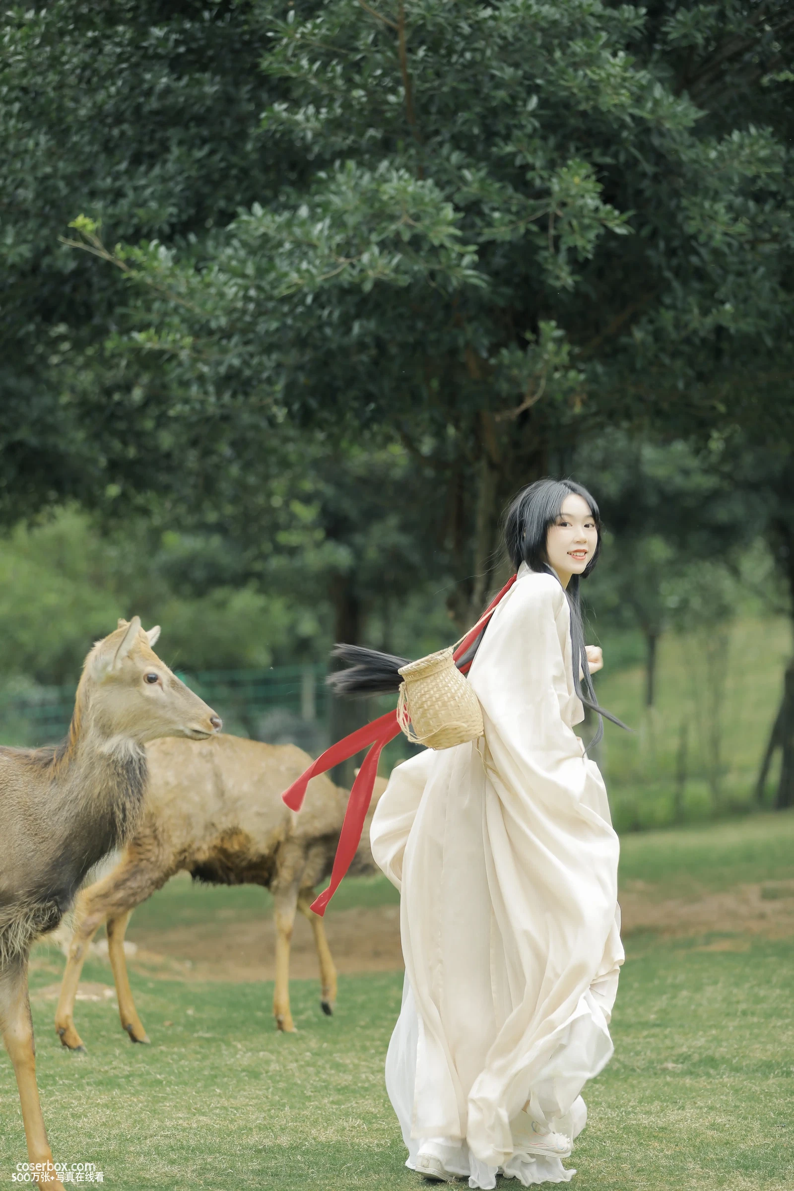 [YITUYU艺图语] 2022.05.28 NO.1408 鹿鸣 槐枝- [26P-352MB] - 在线看可下载原图