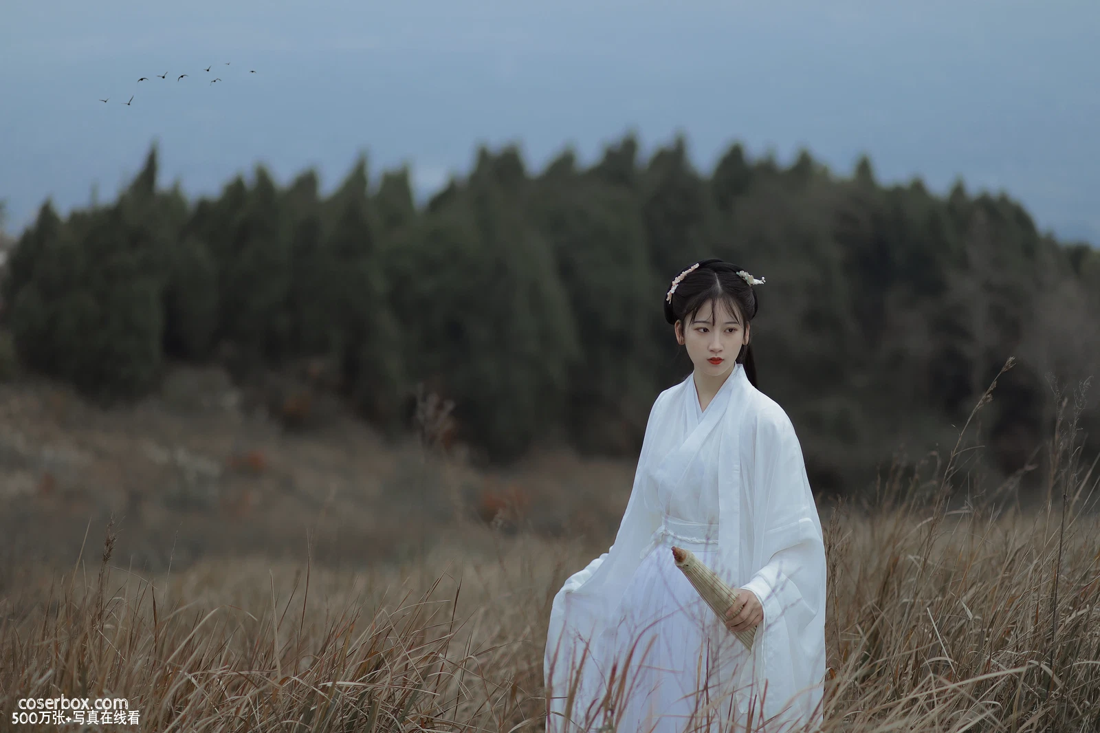 [YITUYU艺图语] 2022.05.20 NO.1331 山河故人 半夏夏夏 [29P-263MB] - 在线看可下载原图