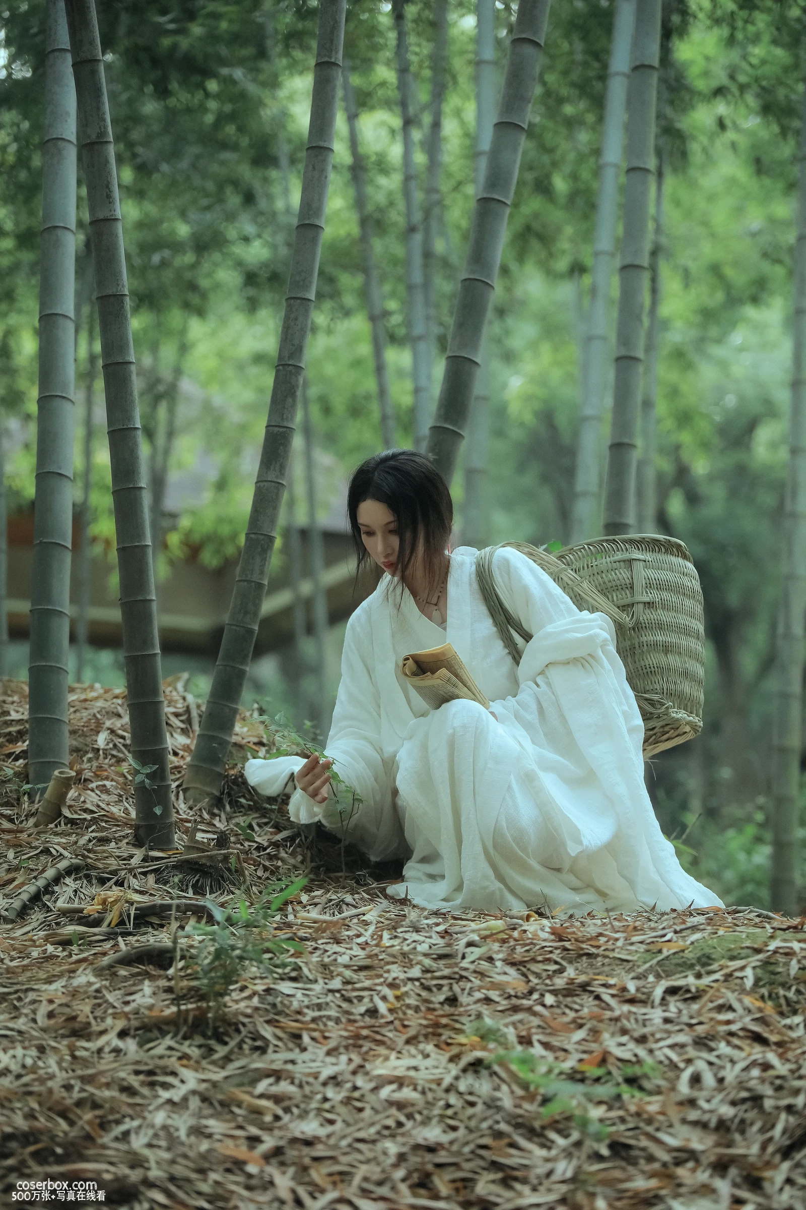 [YITUYU艺图语] 2022.06.02 NO.1458 神农氏 阿妍纸 [25P-692MB] - 在线看可下载原图