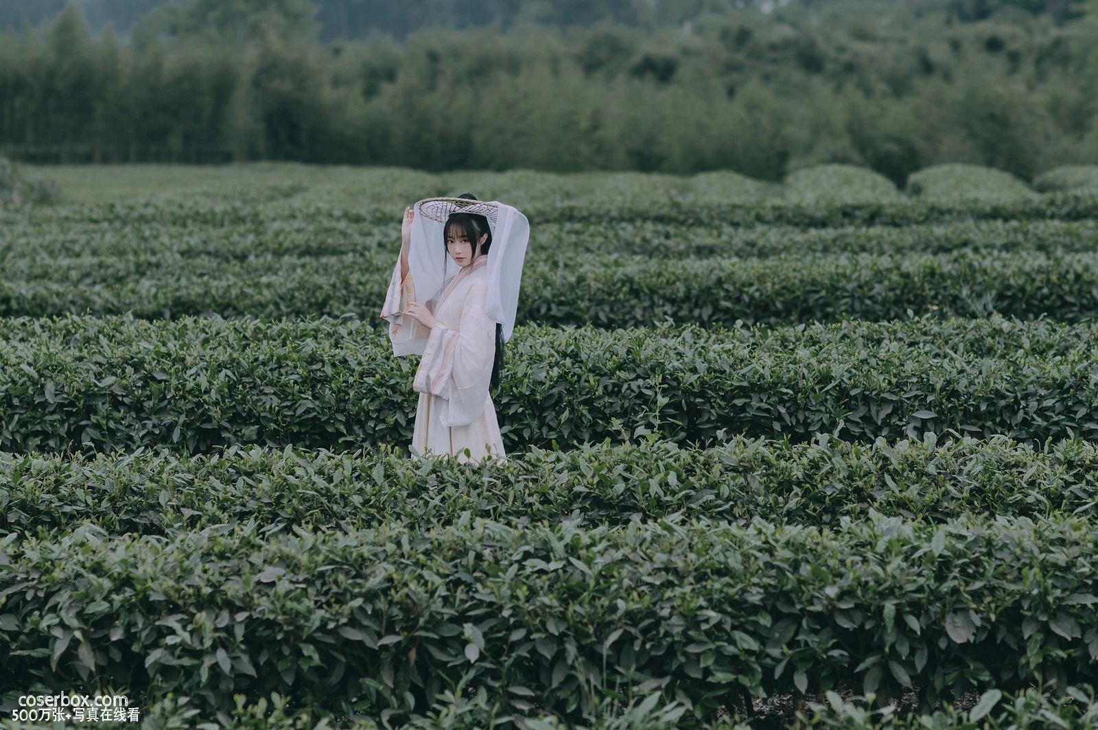 [YITUYU艺图语] 2022.05.12 NO.1251 采茶东篱下 蹭饭 [19P-194MB] - 在线看可下载原图