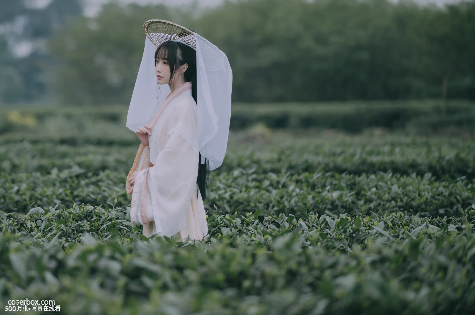 [YITUYU艺图语] 2022.05.12 NO.1251 采茶东篱下 蹭饭 [19P-194MB] - 在线看可下载原图