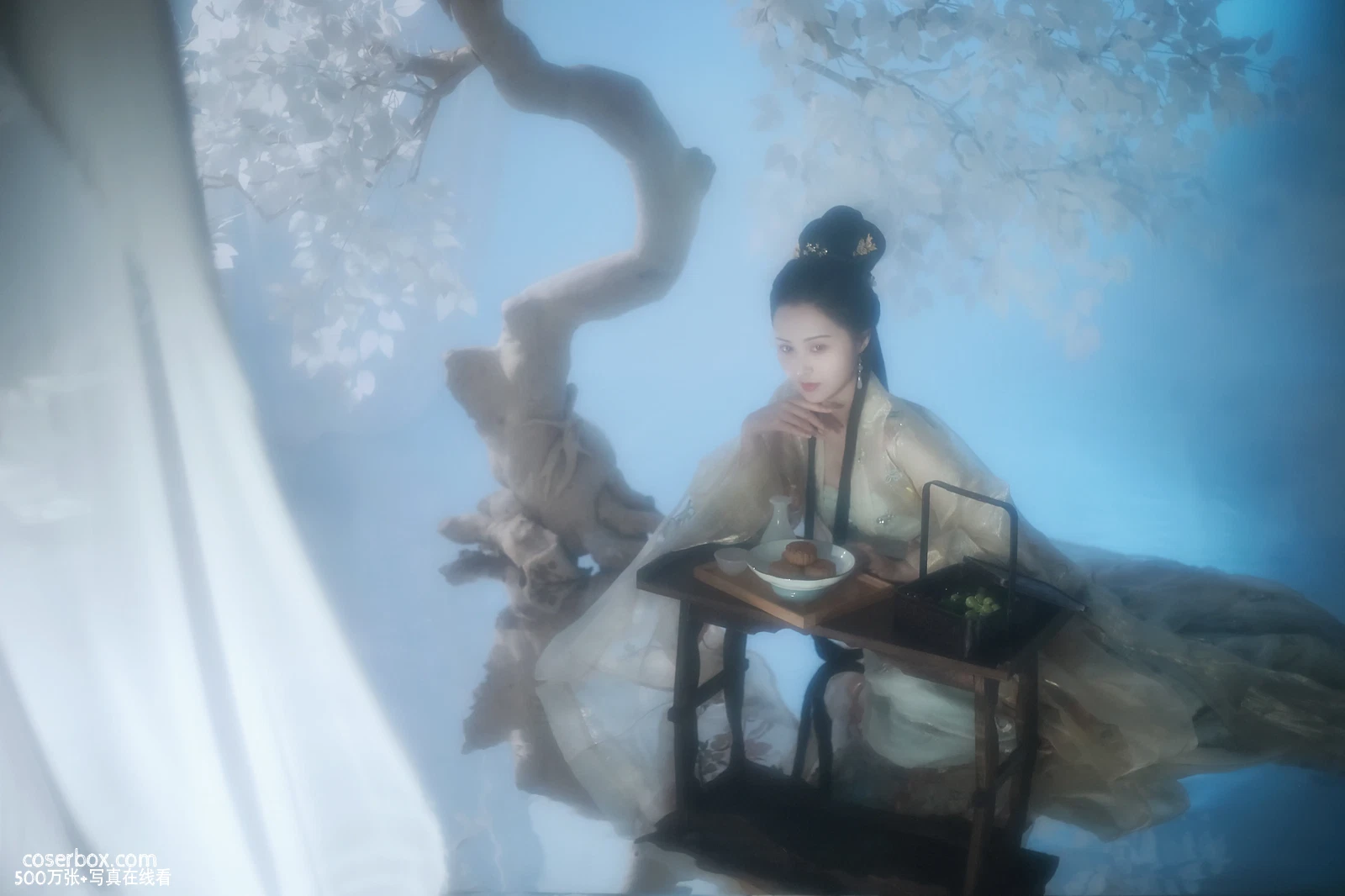 [YITUYU艺图语] 2022.05.27 NO.1393 广寒宫 鱿鱼阿姨 [24P-375MB] - 在线看可下载原图