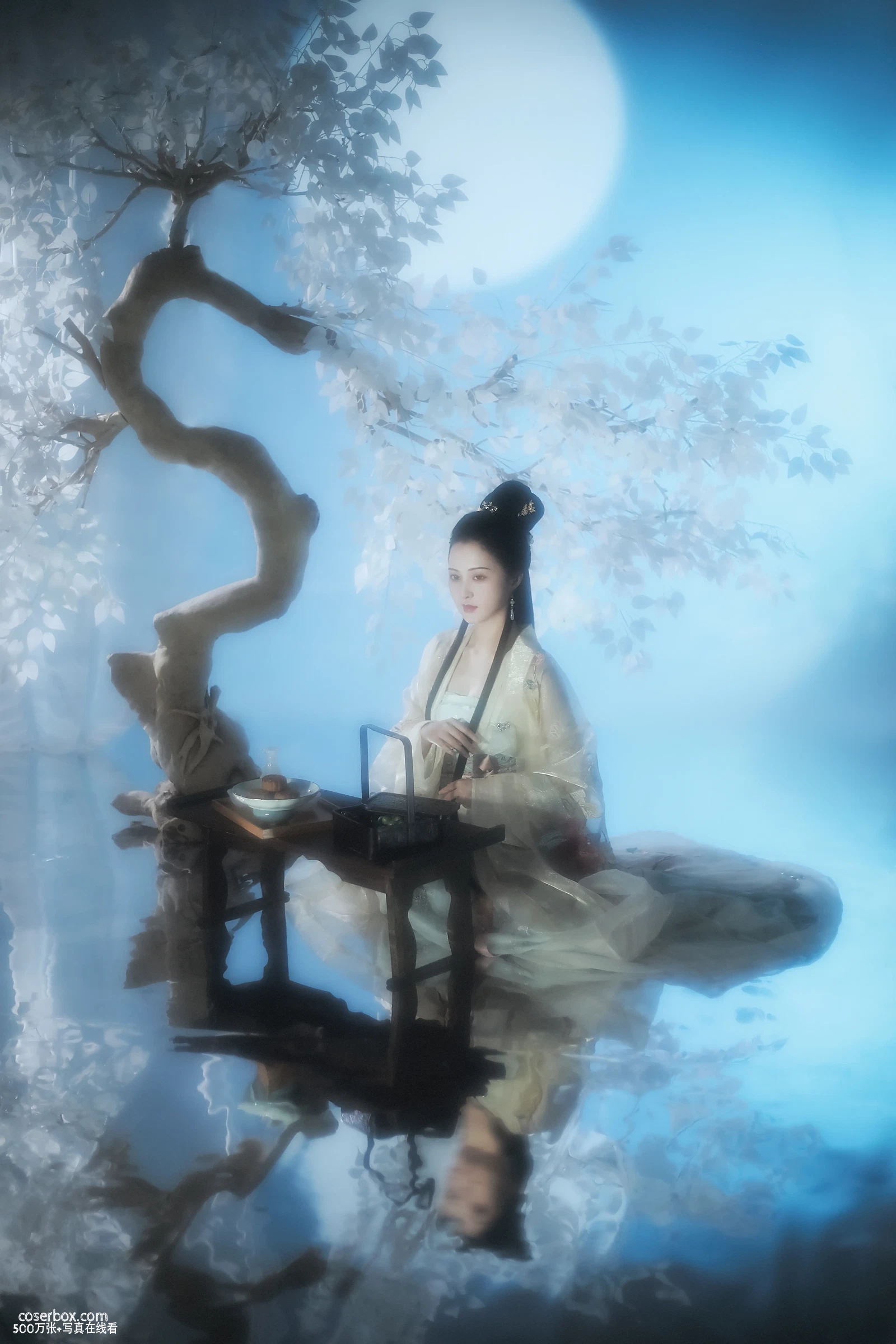 [YITUYU艺图语] 2022.05.27 NO.1393 广寒宫 鱿鱼阿姨 [24P-375MB] - 在线看可下载原图