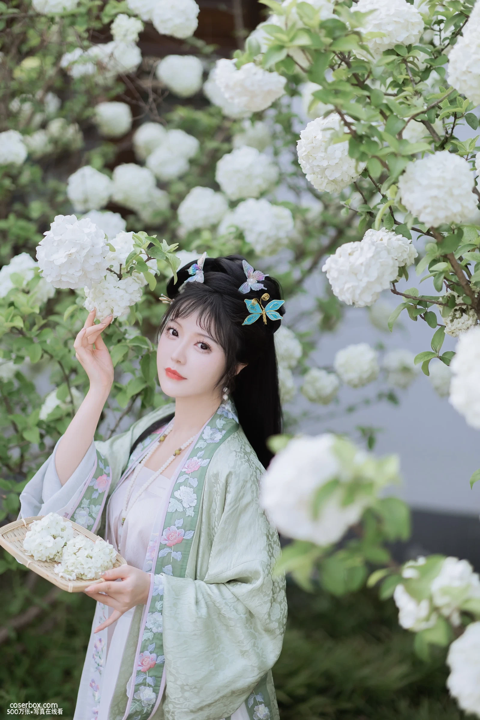 [YITUYU艺图语] 2022.06.09 NO.1518 探春 璐璐haley [41P-374MB] - 在线看可下载原图