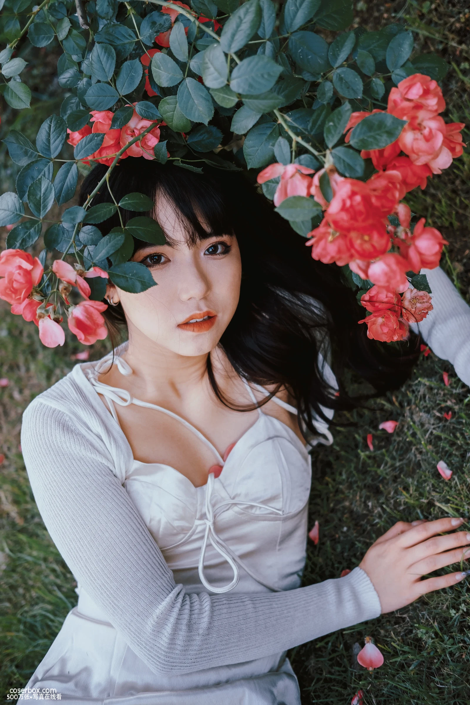 [YITUYU艺图语] 2022.06.10 NO.1530 蔷薇花下 依依 [24P-385MB] - 在线看可下载原图