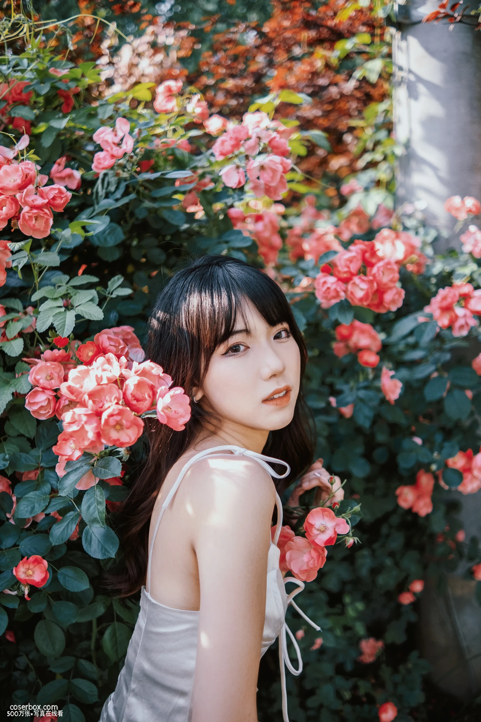 [YITUYU艺图语] 2022.06.10 NO.1530 蔷薇花下 依依 [24P-385MB] - 在线看可下载原图