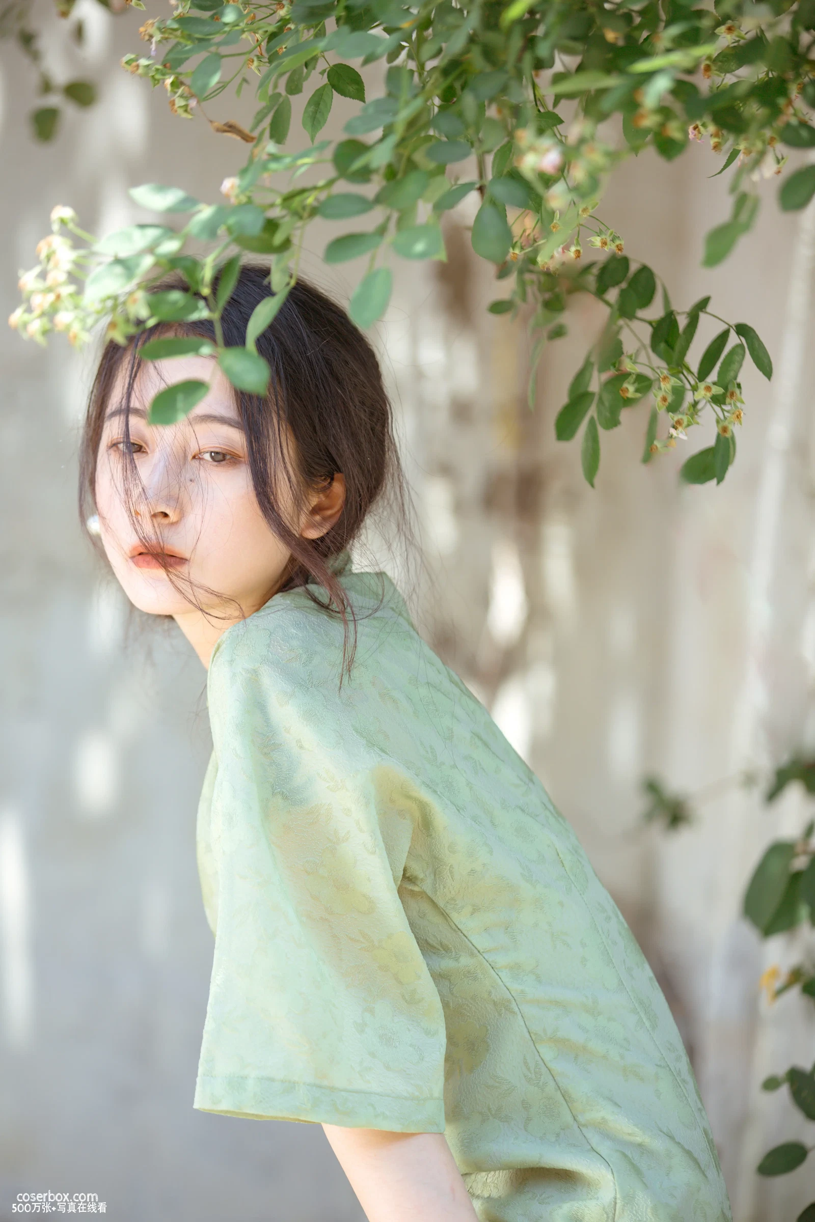 [YITUYU艺图语] 2022.06.27 NO.1698 总有人间一两风 五月的三花猫 [23P-148MB] - 在线看可下载原图