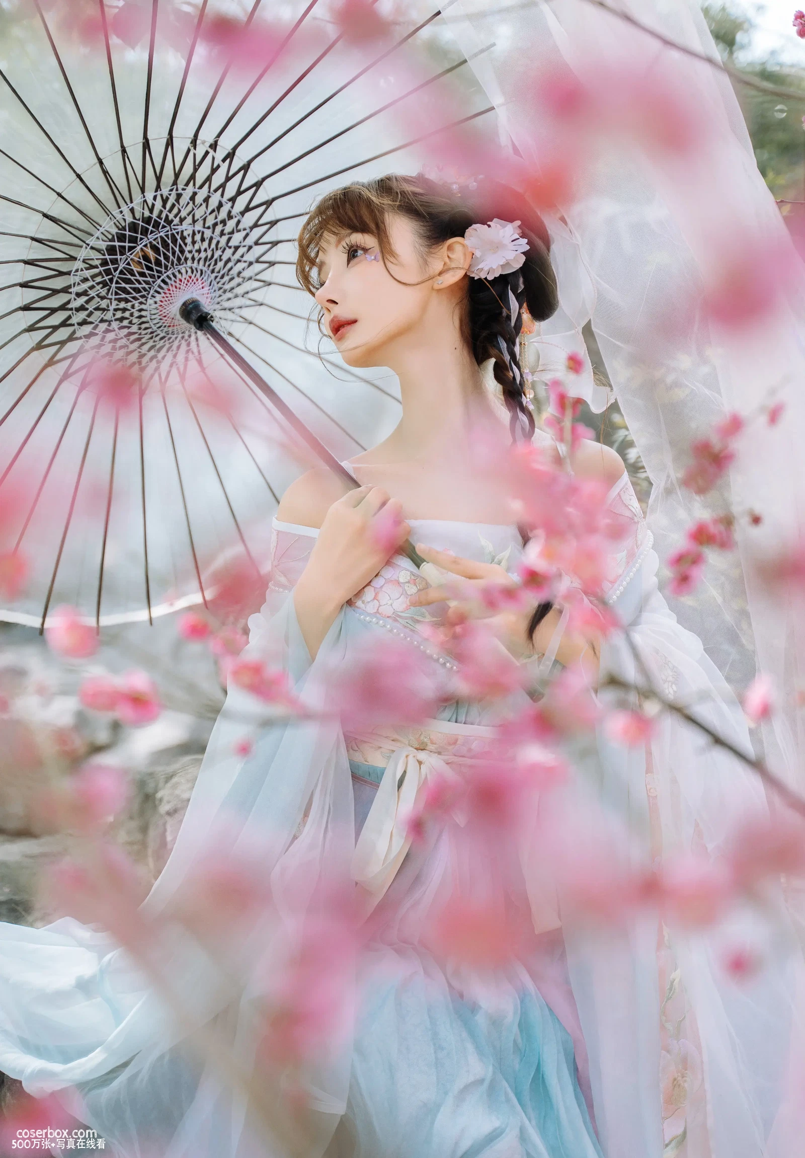 紫氯氯 NO.007 二月梅花 - 在线看可下载原图
