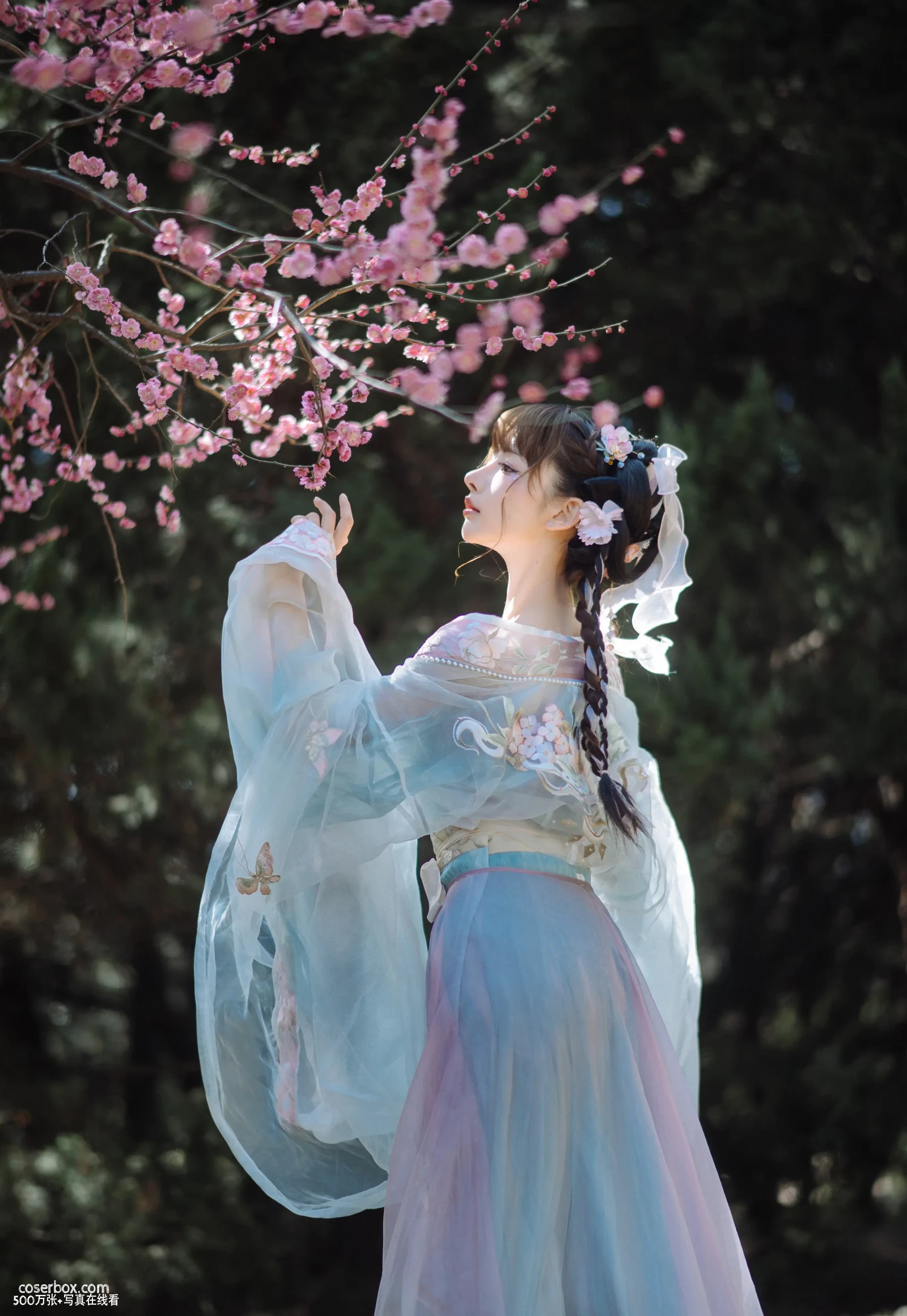 紫氯氯 NO.007 二月梅花 - 在线看可下载原图