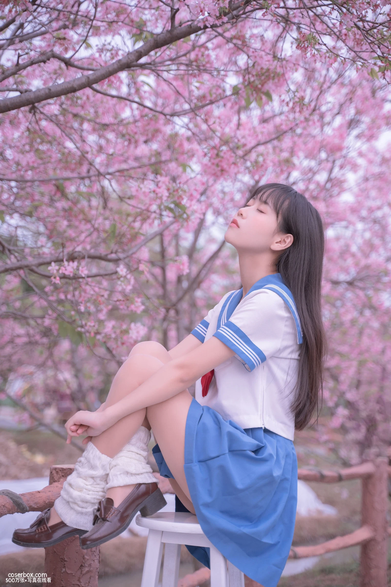 萌芽儿 2023.10.23 樱花jk - 在线看可下载原图